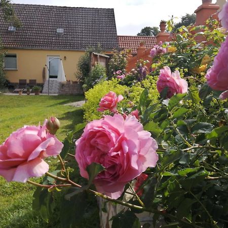 Strandhaus Mariflor Brook Bagian luar foto