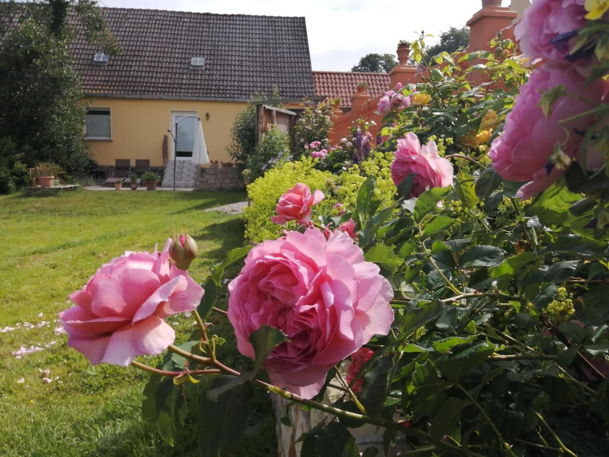 Strandhaus Mariflor Brook Bagian luar foto